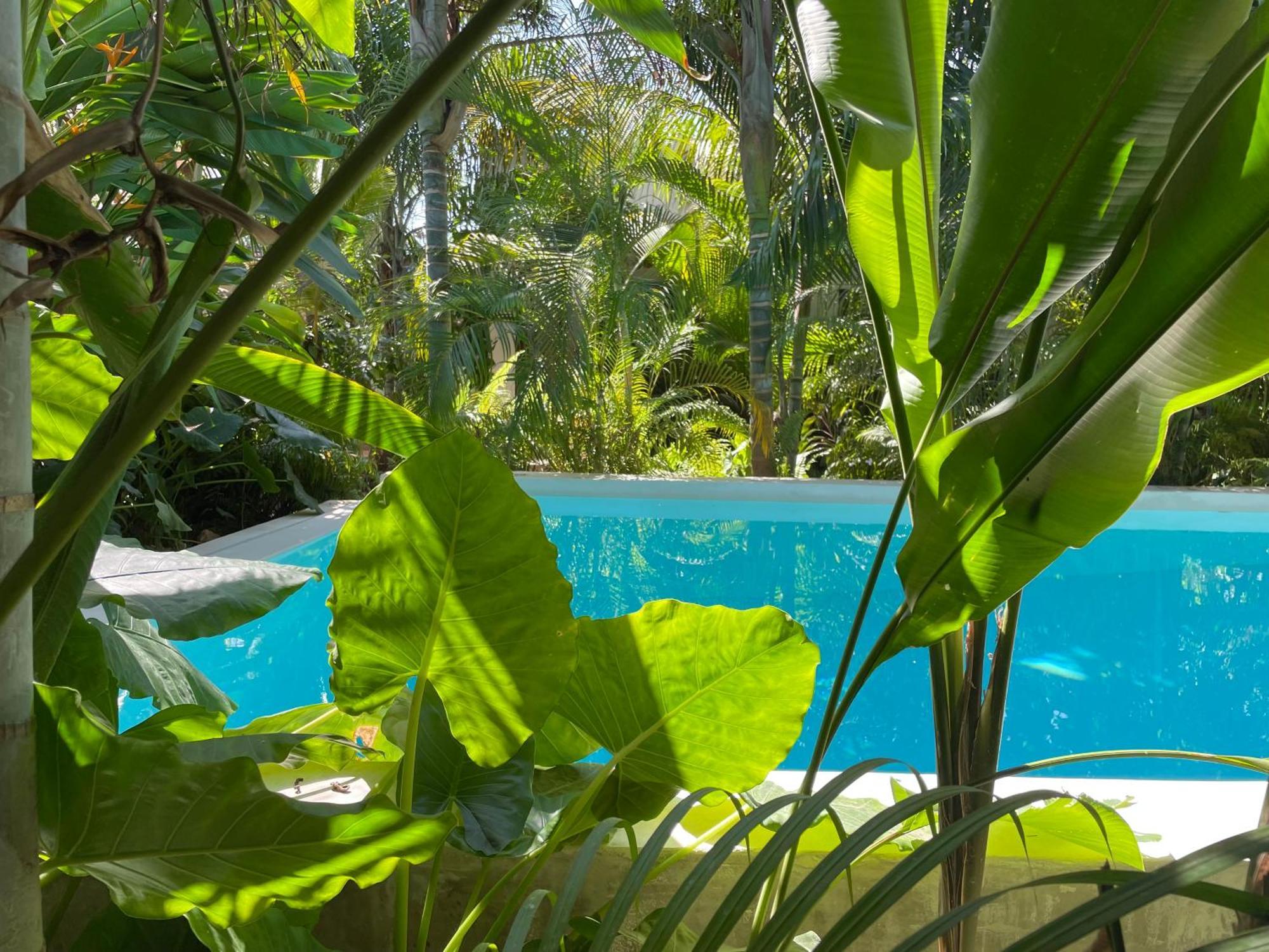 Gaia Villas Nungwi Exterior photo